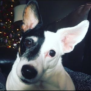 Meet your Posher, Deborah